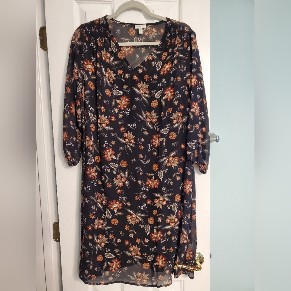 Garnet Hill Silk Dress Size 10